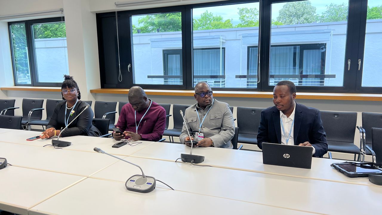 Adaptation Gallery Image 1