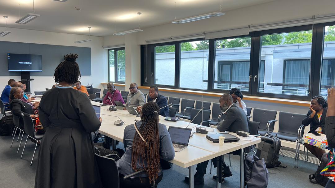 Adaptation Gallery Image 12