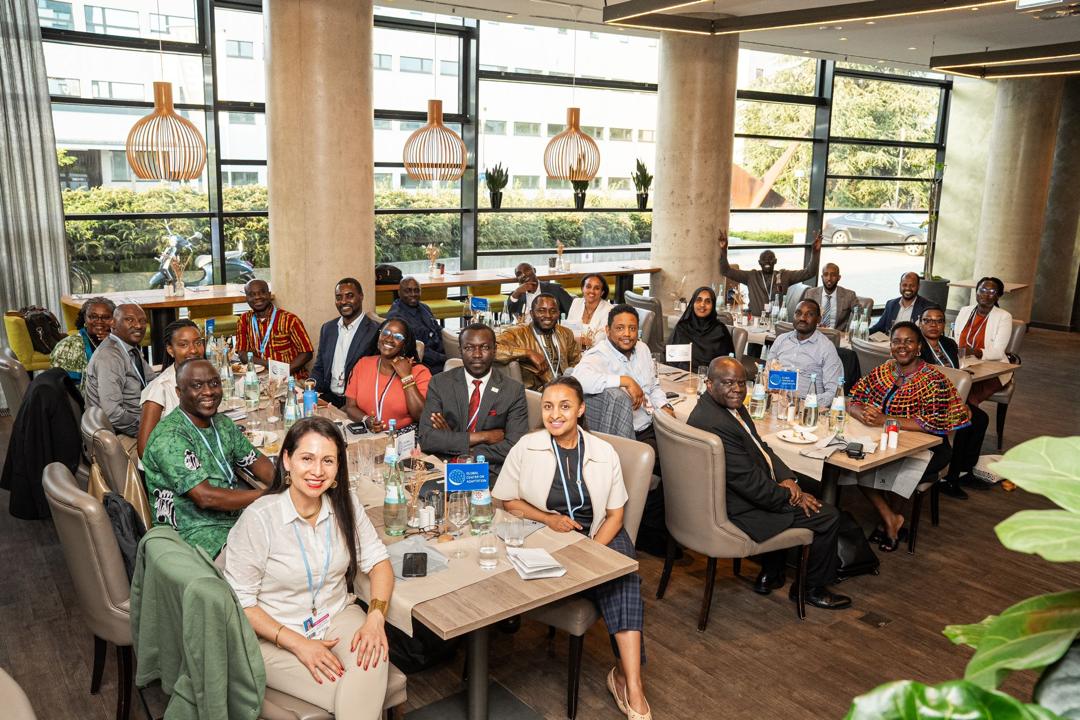 Adaptation Gallery Image 27