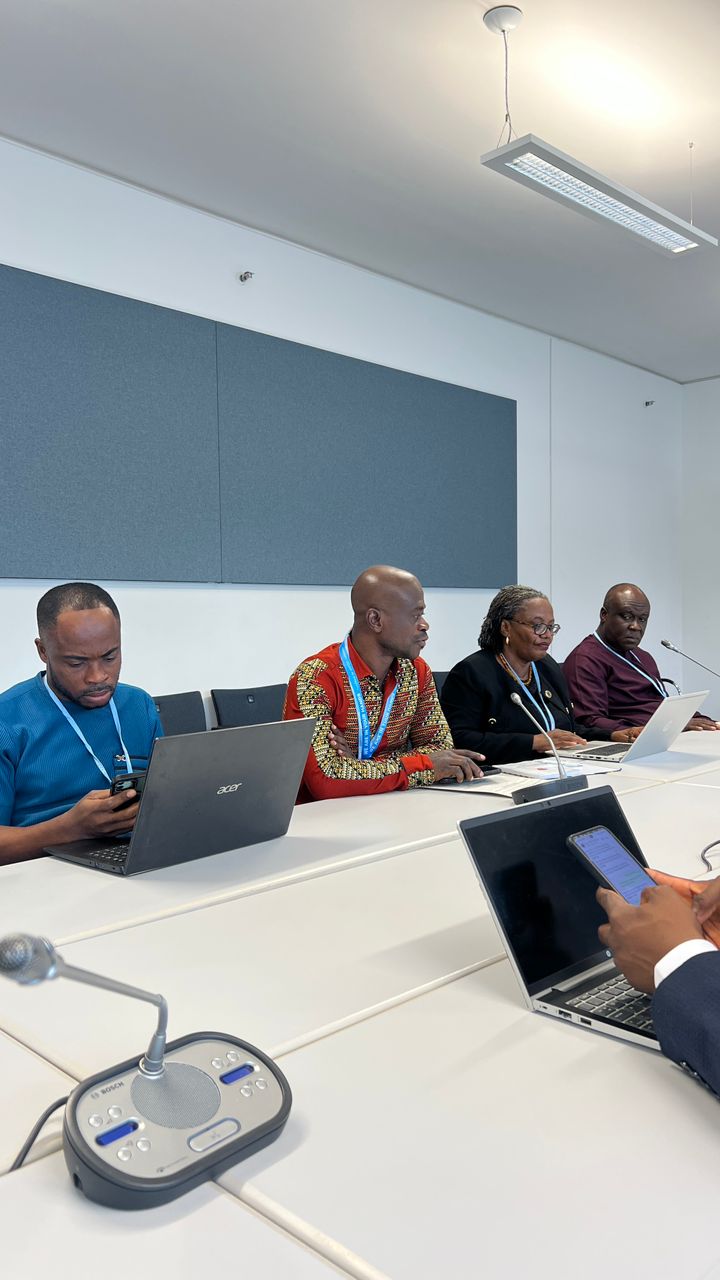 Adaptation Gallery Image 4