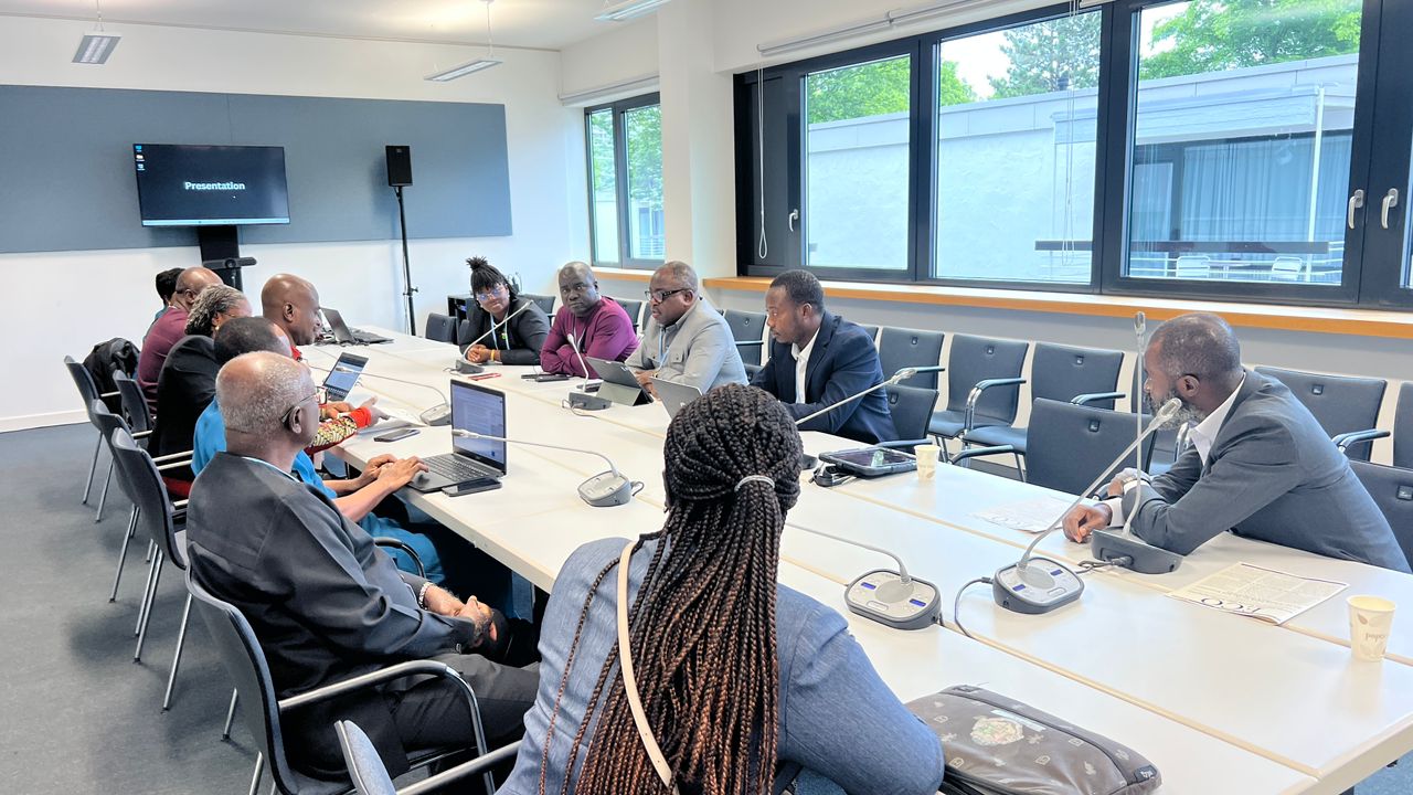 Adaptation Gallery Image 5