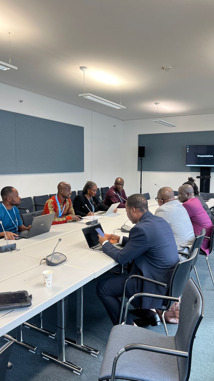 Adaptation Gallery Image 6