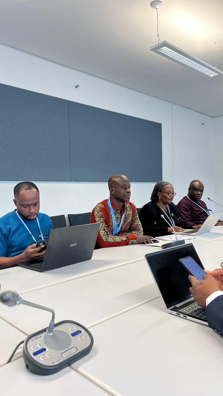 Adaptation Gallery Image 8